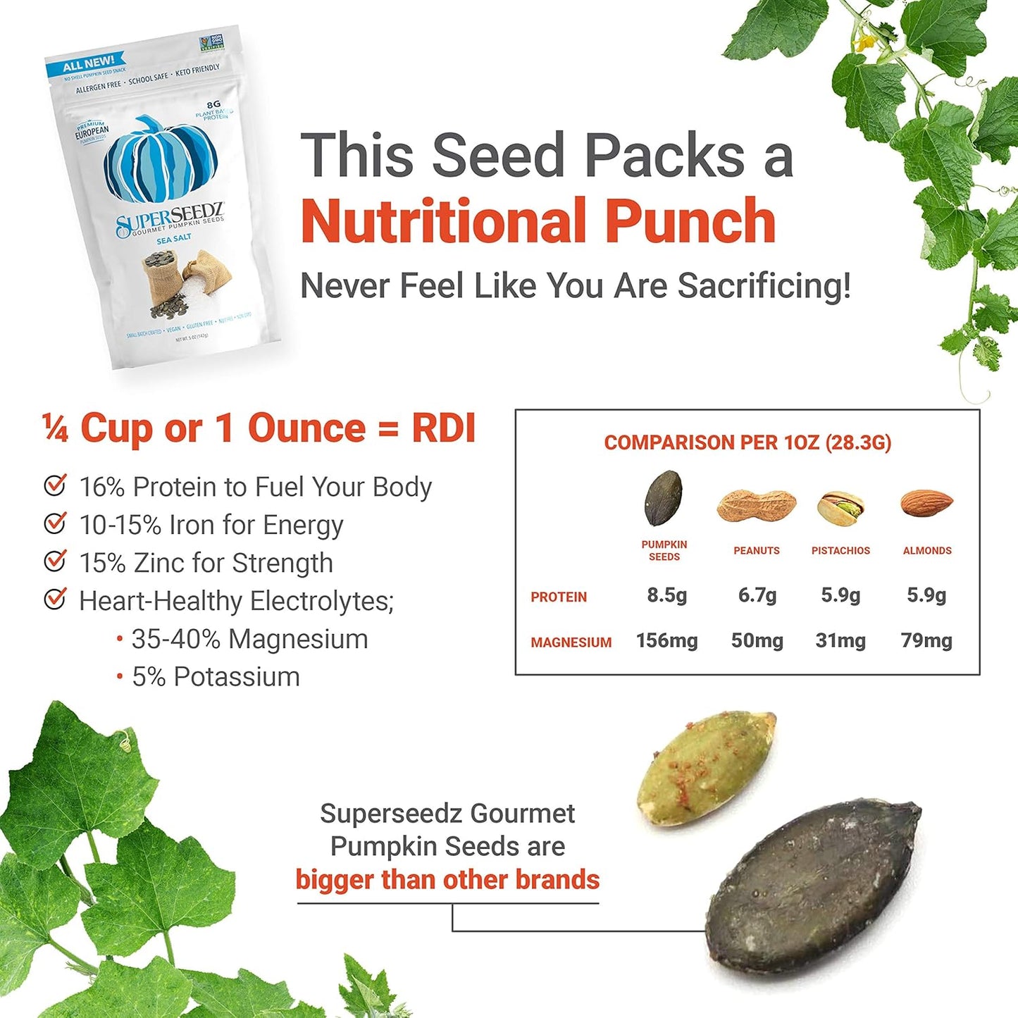 SuperSeedz Sea Salt Dry Roasted Pumpkin Seeds